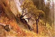Albert Bierstadt Landscape Study, Yosemite California France oil painting artist